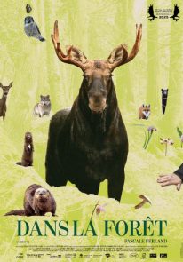 Poser pour Dans la forêt
