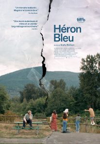 Poser pour Héron bleu