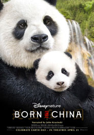 Poster pour Born in China