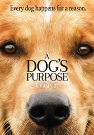 Poster pour A Dog’s Purpose
