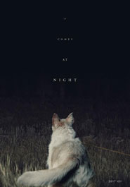 Poster pour It Comes at Night