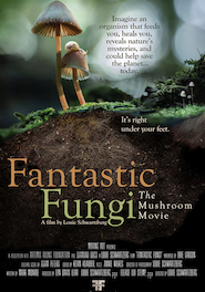 Poser pour ÉVÉNEMENT – Fantastic Fungi