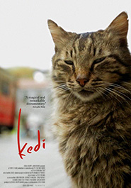 Poser pour Kedi – Au royaume des chats