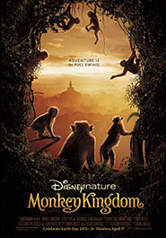 Poster pour Monkey kingdom